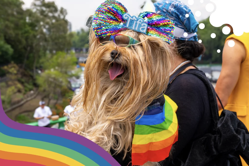 Perrita en la marcha del orgullo gay