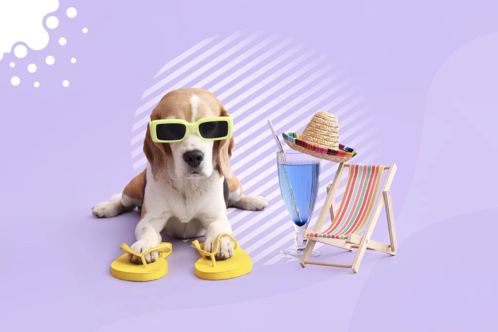 Ser pet friendly es todo un estilo de vida