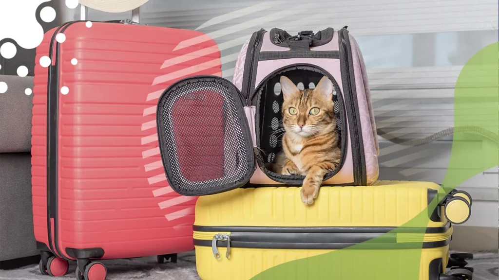 Gatito en su transportadora para viajar